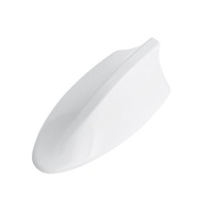 Antena Sirip Hiu Shark Fin Antena