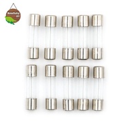 Nebaby 10pcs Glass Tube Fuse 5mm x 20mm 1.6A T1.6A 250V Slow Blow 1.6Amps .