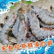 宏都拉斯鮮凍白蝦 40-50 （1盒1Kg) 310元 便宜賣喔！ 😄