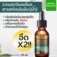 รากปลาไหลเผือก สารสกัดสมุนไพร Eurycoma Longifolia, Tongkat Ali Extracted เข้มข้น (ชนิดน้ำ) ขนาด 20 ม