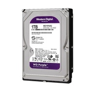WESTERN DIGITAL/SEAGATE SKYHAWK HARD DISK 1TB 2TB 4TB