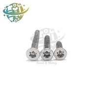 Stainless Steel L-Wrench Screw M6x30 Imported FlatBINTANG 304 Screw Star Head