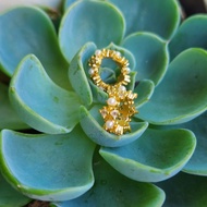 M1207F4 Seiko Full Diamond Small Running Ring, About 8.8 * Thickness 2.8mm,