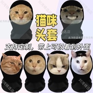 面罩头套猫meme 鼠鼠huh派对团建搞笑 抽象宠物耄耋猫咪表情包Mask headgear cat meme rat rat huh