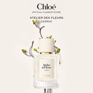 Chloé Atelier Des Fleurs Cedrus Eau De Parfum For Women | Symbol of Loyalty | Woody Sparkling Sensua