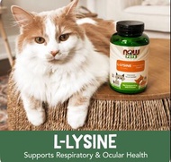 NOW L lysine for cats 貓 supplement