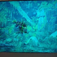 住家出讓 4K samsung Sony 智能電視 43吋 超薄 有腳架遙控可直接試機 全功能 wi-fi上網藍牙 hdmi等等 4K Smart TV