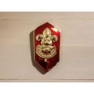 Chest Needle Scout Deputy Director