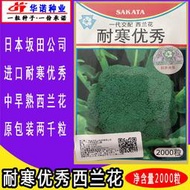 日本坂田耐寒優秀青花菜種子 種籽綠西蘭花種子 種籽青花菜種籽  原裝2000粒hn