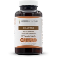 Secrets of the Tribe Cilantro 120 Capsules, Made with Vegetable Capsules and Cilantro Dried Leaf (12