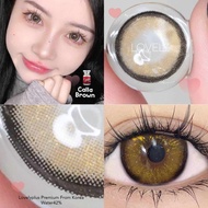 คอนแทคเลนส์ แฟชั่น สายตาปกติ 0.00 forum  .calla dna ชนิดนิ่ม รายเดือน