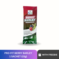 Trial pack 1 sachet Profit Berry Barley - Original Premium Barley Drink. Barley Grass Powder with Stevia anti aging helps boost immunity to prevent virus green BARLEY Juice Drink | herbal and pure organic green barley powder juice drink