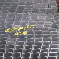 Light Steel C75 x 1.0mm x 6M