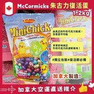 加拿大製McCormicks mini chick chocolate eggs 牛奶朱古力復活蛋 1.2kg