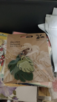 龜背芋造型悠遊卡