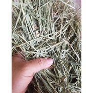 Mountain Village Rice Girl New ‼️‼️U.S Timothy Hay First Cut )1kg Super Green  Timothy First Cut 1kg