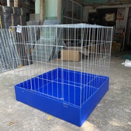 Lồng Nuôi Gà Chọi Gà Nòi Kích Thước 80x80x80 kèm Khay Nhựa