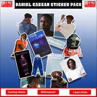 13pcs DANIEL CAESAR Sticker Pack A6 | Aesthetic daniel caesar stickers - eayadvertising