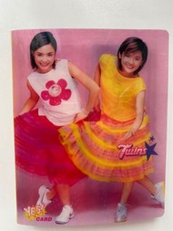 Twins Yes Card, Yes Card 簿