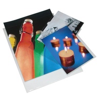 Print File Acid-Free Storage Photo Bag 5X76PR High Definition 5X7 Display Case (25 Sheets) PRINTFILE