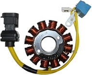 cyclingcolors Alternator Stator Ignition Motor Motorcycle Scooter Moped Compatible with Piaggio 125 