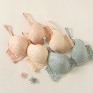 Felancy Wired Lace Bra 073-01331