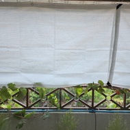 Garden Privacy Screen (White) - Sun Shade for Balcony & Terrace
