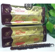 Frozen centipede centipede M27 contains 2 arowana fish food predator fish food
