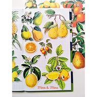 Mina&Mina | 24pcs Sticker Set | Vintage Fruits-Yellow