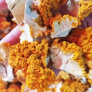 [Collected by 1,678 people] Authentic Golden Ear mushroom fragments, dried goods, authenti【1678人收藏】金
