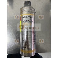 Pentair Everpure 2FC-S Water Filter