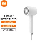 XiaoMi Ionic Hair Dryer H300 / 小米吹风机负离子速干吹风机H300