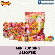 AYOYO Mini Pudding Assorted