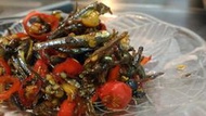 (鬼椒大辣款)灶堂本舖純手工丁香魚乾辣椒醬~特選澎湖正丁香小魚，天然無防腐添加
