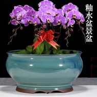 纳纶紫砂花盆蝴蝶兰釉面盆景盆陶瓷大号室内多肉植物花盆