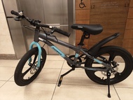 Phoenix 兒童單車 18吋 碟剎