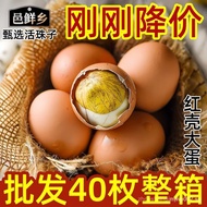 Fresh 13 Days Live Beads Eggs Instant Phoenix Eggs Cooked Tempered Eggs Red Shell Large Extra Large 