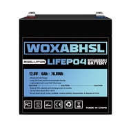 12V 6Ah LiFePO4 Lithium Battery,3000+ Cycles, Maintenance-Free Battery, for Camping, Fish Finder, Sc