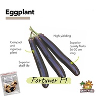 Eggplant Long Purple | Fortuner F1 Seeds