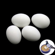 2pcs fake pigeon eggs