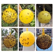 Fly Lure Ball Yellow Green Whole Box Of Fly Lure Ball Lure Fruit Orchard Needle Ball Ball Fly U0o8