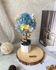 索拉花球樹名片座(含禮盒) / 擴香石  / 開店禮