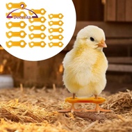 [deevoka] 15x Poultry Leg Bands Chicken Hobble BLACE Chick Legs Hobble for Parrots Newborn Lovebirds