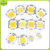 1pc cob led light dc led bulb chip on board 10W 20W 30W 50W 70W 100W 2 colors