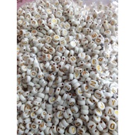 1 POUND FLAT ROUND BEAD