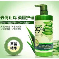 Aloe Vera 99% Hair Shampoo 800ml Aloe Vera Gel Anti-Dandruff Silky Shampoo