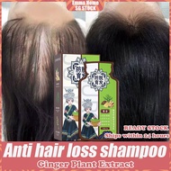 🚀SG Stock🚀 Ginger Plant Extract Anti-Hair Loss Hair Shampoo, Hair Growth Shampoo, Ginger Shampoo, Hair Loss Shampoo 防脱育发
