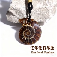 Natural Madagascar Chalk Ammonite Fossil Pendant Jewelry Pendant Necklace Geological Popular Science