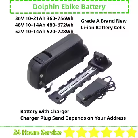 Dolphin Ebike Battery 48V 10Ah 10.4Ah 12Ah 12.8Ah 14Ah 36V 15Ah 20Ah 52V 14Ah Ebike Battery with Cha