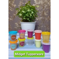 Midget (1pcs) Tupperware